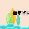 嘉年華兩廂價格（新嘉年華兩廂）