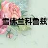 雪佛蘭科魯茲首付多少（科魯茲首付多少錢）