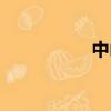 中山紗綾（中山紗綾）