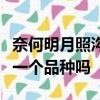 奈何明月照溝渠的上一句是什么毛豆與黃豆是一個品種嗎
