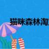 貓咪森林淘寶店誰知道（貓咪森林淘寶）
