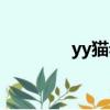 yy貓老大現狀（yy貓老大）