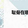 恥骨在哪里 位置圖（恥骨在哪里）