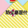 防塵塞是什么東西圖片（防塵塞是什么）