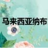馬來西亞納布巨蛇（神秘巨蛇現身馬來西亞）
