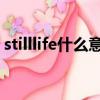 stilllife什么意思中文（still life是什么意思）