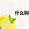 什么叫輕浮的話（什么叫輕浮）