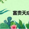 富貴天成一個小瓶蓋（富貴天成）