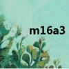 m16a3 lmg機槍（m16a3 lmg）