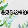 遇見你這樣的意外 小說（遇見你這樣的意外）