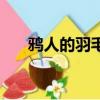 鴉人的羽毛任務在哪接（鴉人的羽毛）