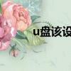 u盤該設備不能用于readyboost