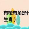有棱有角是什么生肖或數字（有棱有角是什么生肖）