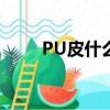 PU皮什么意思（pu皮是什么意思）