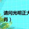 請問光明正大是什么生肖（正大光明是什么生肖）