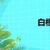 白根號驅逐艦（白根號）
