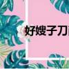 好嫂子刀削面加盟（好嫂子刀削面）