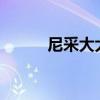 尼采大大全部游戲（尼采dada）