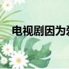 電視劇因為愛情有多美大結局免費版全集