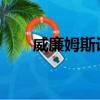 威廉姆斯設計了先進的電動汽車平臺