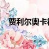 賈利爾奧卡福體測數據（賈利爾 奧卡福）