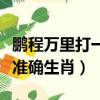 鵬程萬里打一生肖是什么動物（鵬程萬里打一準確生肖）