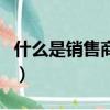 什么是銷售商品方式進行融資（什么是銷售商）