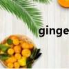 ginger（關于ginger的簡介）