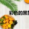 彩色的黑夢想的聲音（彩色的黑mv）