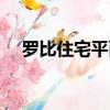 羅比住宅平面圖手繪（羅比住宅平面圖）