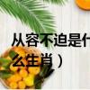 從容不迫是什么生肖動物最佳（從容不迫是什么生肖）