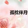 孤枕伴月情系牽（相依相伴對殘月）