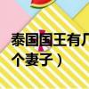 泰國國王有幾個妻子幾個孩子（泰國國王有幾個妻子）