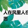 人在風里人在雨里人在愛的歲月里漂流什么意思