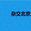 雜交北京犬圖片及價格（北京雜種）