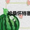 哈桑懷特塞德多大了（哈桑 懷特塞德）