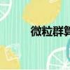 微粒群算法適用于（微粒群算法）