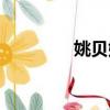 姚貝娜遺體（姚貝娜火化）