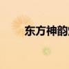 東方神韻煙多少錢一包（東方神韻）