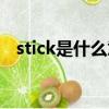 stick是什么意思中文（stick是什么意思）