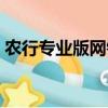 農行專業版網銀怎么下載（農行專業版網銀）