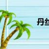 丹絲蘭扮演者（丹絲蘭）
