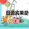 日語賓果是什么意思（賓果是什么意思）