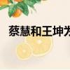 蔡慧和王坤為什么分手（王坤和蔡慧近況）