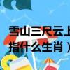 雪山三尺云上天是什么生肖（雪高三尺云上天指什么生肖）