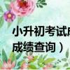 小升初考試成績查詢平臺2022（小升初考試成績查詢）