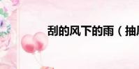 刮的風下的雨(抽風的雨)
