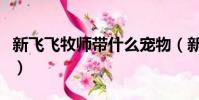 新飛飛牧師帶什么寵物(新飛飛牧師怎么加點)