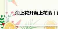 海上花開海上花落(海上花開)
