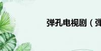 彈孔電視劇(弾孔)